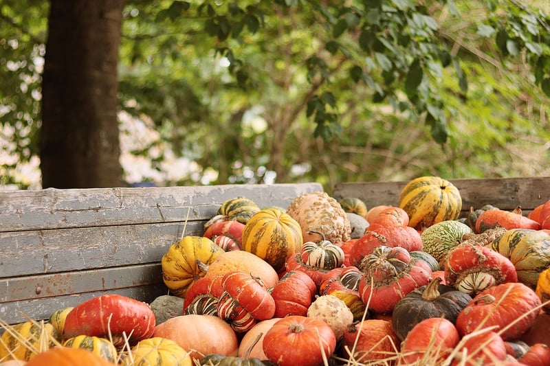 Harvest Festival